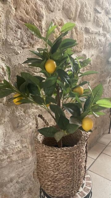 Apartamento L'Isle Beaucaire  Exterior foto